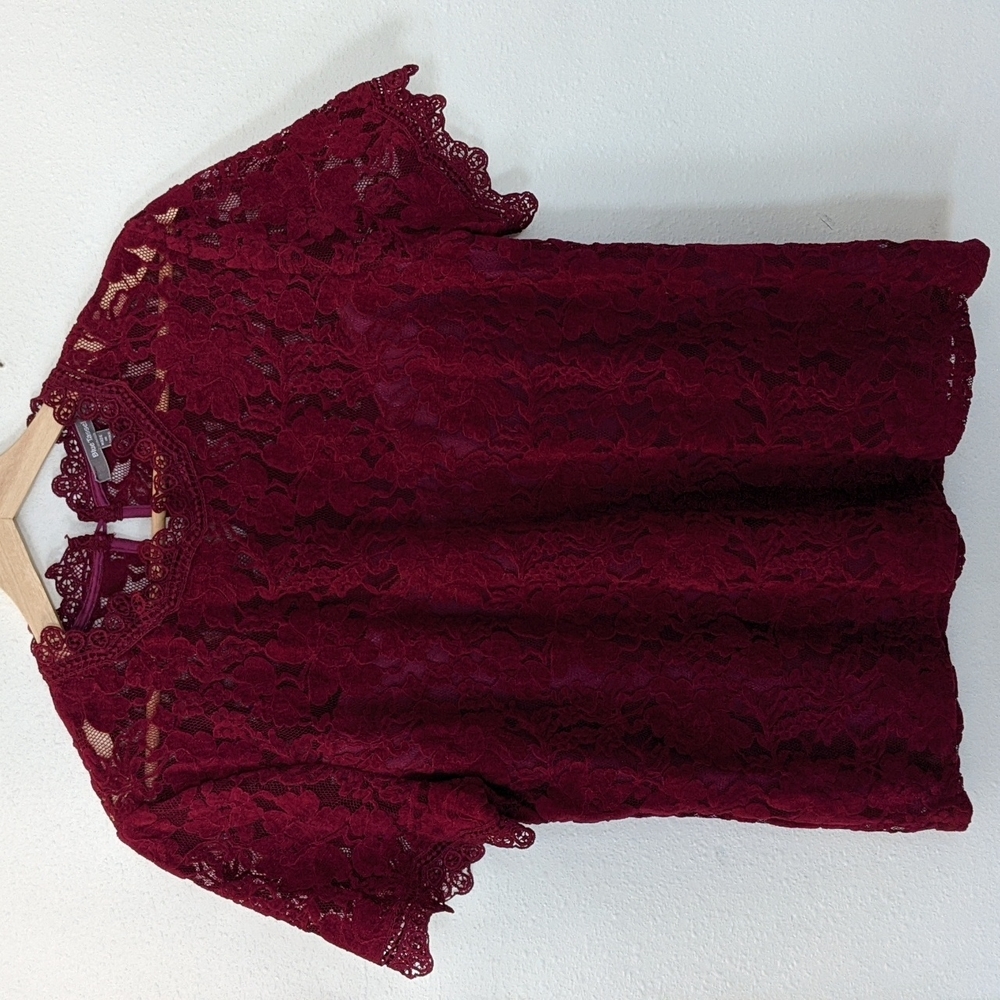 Anthropologie Teresa Mock Neck Lace Top in Raspberry